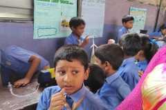 Science Exhibition - Grade 5 and 6
