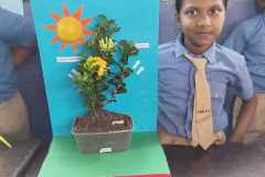 IMG-20260909-WA0030